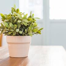 Apartamentos Suites Santa Cruz | Sevilla | 3 Raisons de rester avec nous - 2