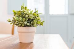 Apartamentos Suites Santa Cruz | Sevilla | Photos 10