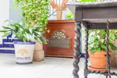 Apartamentos Suites Santa Cruz | Sevilla | Photos 7